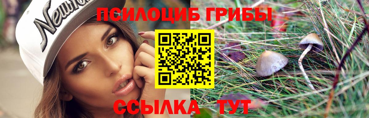 Галлюциногенные грибы Cubensis  Вход с VPN  Ступино 